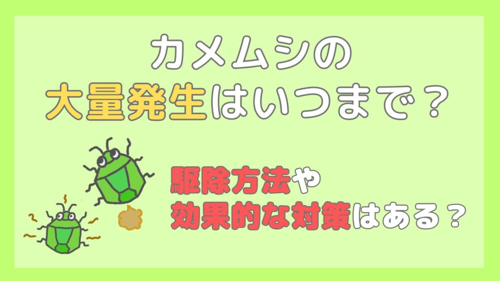 カメムシの大量発生はいつまで？駆除方法や効果的な対策はある？